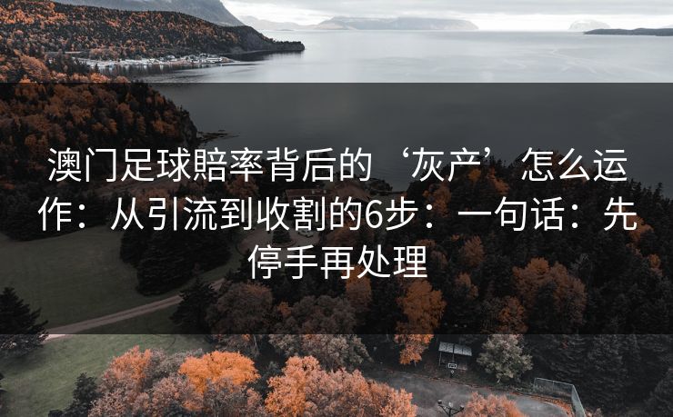 澳门足球賠率背后的‘灰产’怎么运作：从引流到收割的6步：一句话：先停手再处理