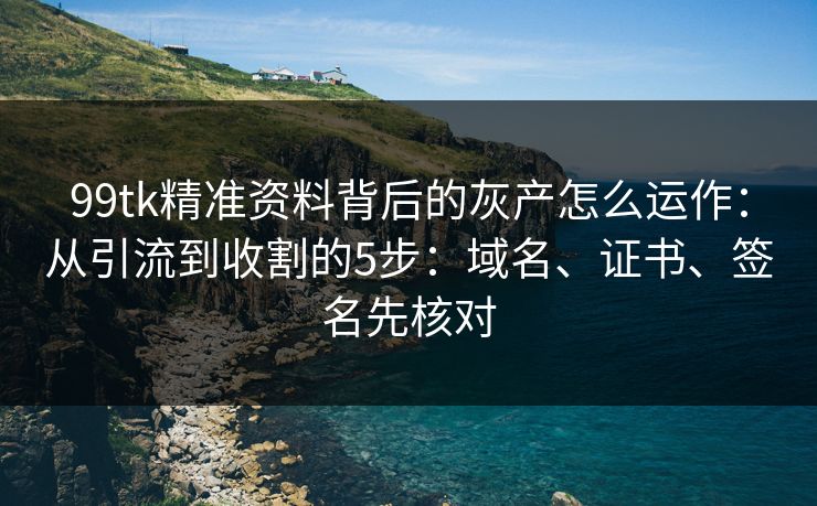 99tk精准资料背后的灰产怎么运作：从引流到收割的5步：域名、证书、签名先核对