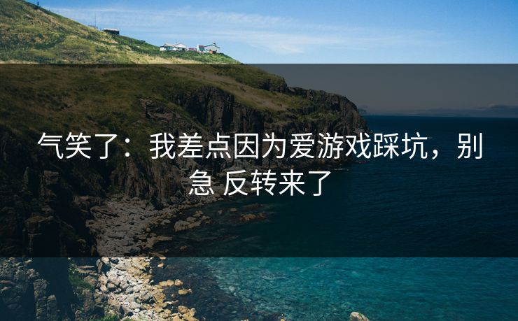 气笑了：我差点因为爱游戏踩坑，别急 反转来了